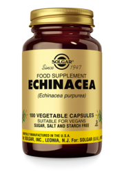 Echinacea