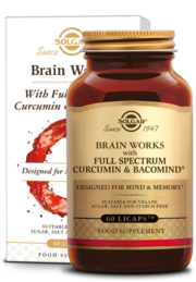 Brain Works (Brein)