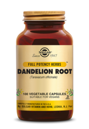 Dandelion (Paardenbloem) Root