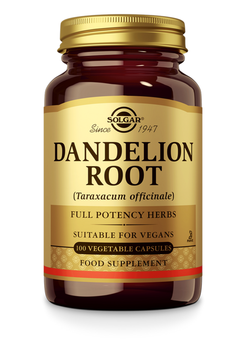Dandelion Root